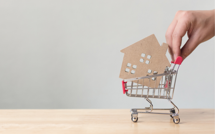 House in shopping trolley